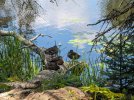 Oak-Point-Ducks-I.jpg