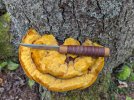BB-puukko-on-golden-polypore.jpg
