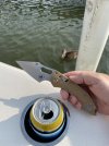 IMG_0700.jpeg