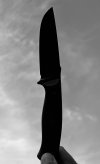B2F04177-87A7-435C-B7AC-19387F5B8082.jpeg