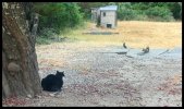 IMG_8806.jpeg