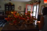 DSC_0173.jpeg