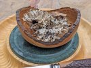 Live-edge-bowl-with-lichen.jpg