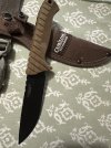IMG_2239.jpeg