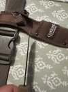 IMG_2242.jpeg