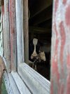 IMG_1491.jpeg