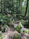 IMG_5965.jpeg