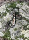 IMG_5978.jpeg