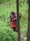 nepal-lady-with-sickle.jpg