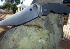 Ti M390 Millie (2200x1545).jpg