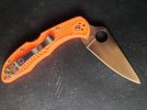 delica.jpg