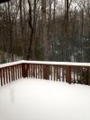 IMG-0111.jpg