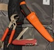 PXL_20230808_094445695.jpg
