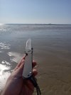 20230806_085356.jpg