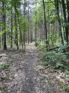 IMG_5983.jpeg