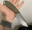 IMG_8802.jpeg