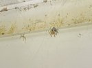 IMG_1525.jpeg