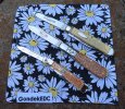 2023-08-08 Goldstone GEC15 Case Winchester.jpg