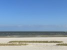 IMG_6076.jpeg