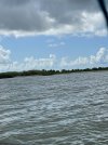 IMG_6065.jpeg