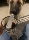 IMG_5858.jpeg