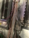 IMG_5870.jpeg