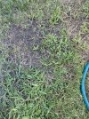 IMG_1580.jpeg