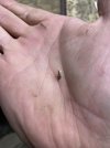 IMG_1589.jpeg