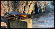 IMG_9071.jpeg