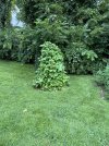 IMG_0541.jpeg