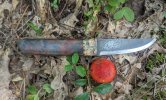 FireBug-and-fire-shroom.jpg
