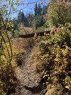 IMG_4239.jpeg
