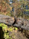 IMG_4240.jpeg