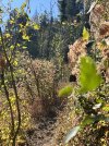 IMG_4242.jpeg