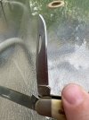 IMG_0580.jpeg IMG_0580.jpeg