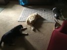 IMG_3373.jpeg