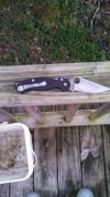 para 2 2.jpg