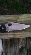 para 2 3.jpg