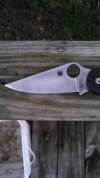 para 2 4.jpg