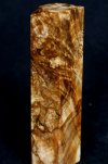 golden masur birch burl.jpg