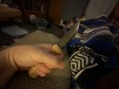 IMG_0522.jpeg