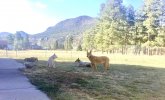 IMG_1847.jpeg
