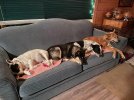 IMG_1610.jpeg