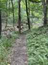 IMG_6014.jpeg
