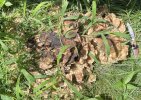IMG_3660.jpeg