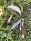 IMG_3655.jpeg