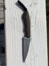 IMG_1715.jpeg