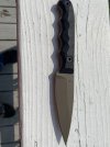 IMG_1713.jpeg