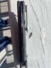 IMG_1688.jpeg
