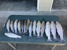 IMG_0085.jpeg